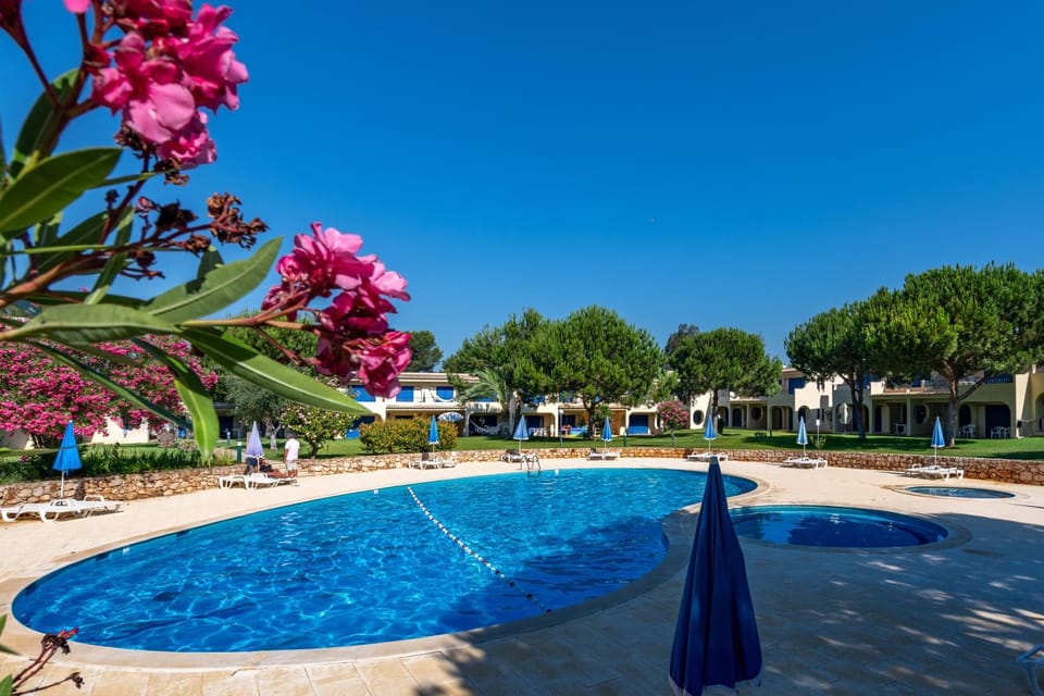 Day, Garden, Swimming pool, sunbed