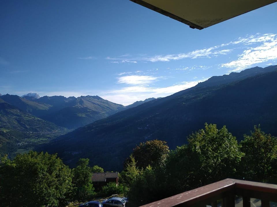 Montchavin La Plagne, pistes 50m, balcon vue Mont Blanc Apartment in Landry