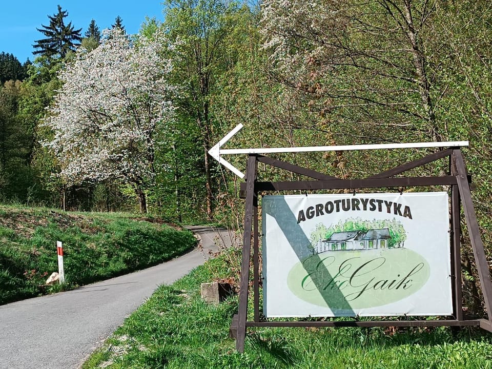 Spring, Logo/Certificate/Sign