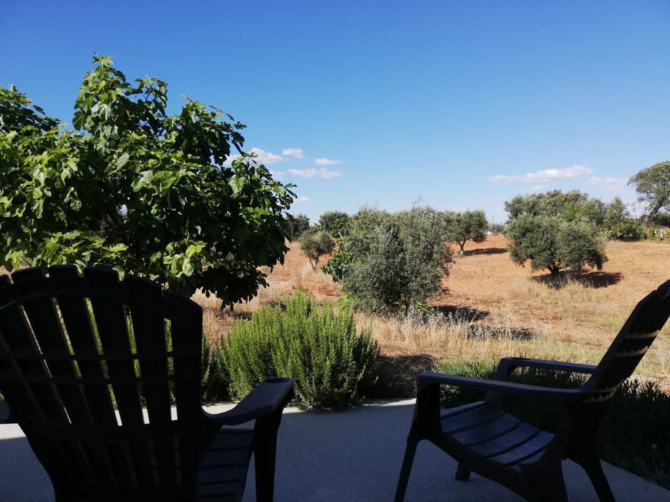 View (from property/room)
