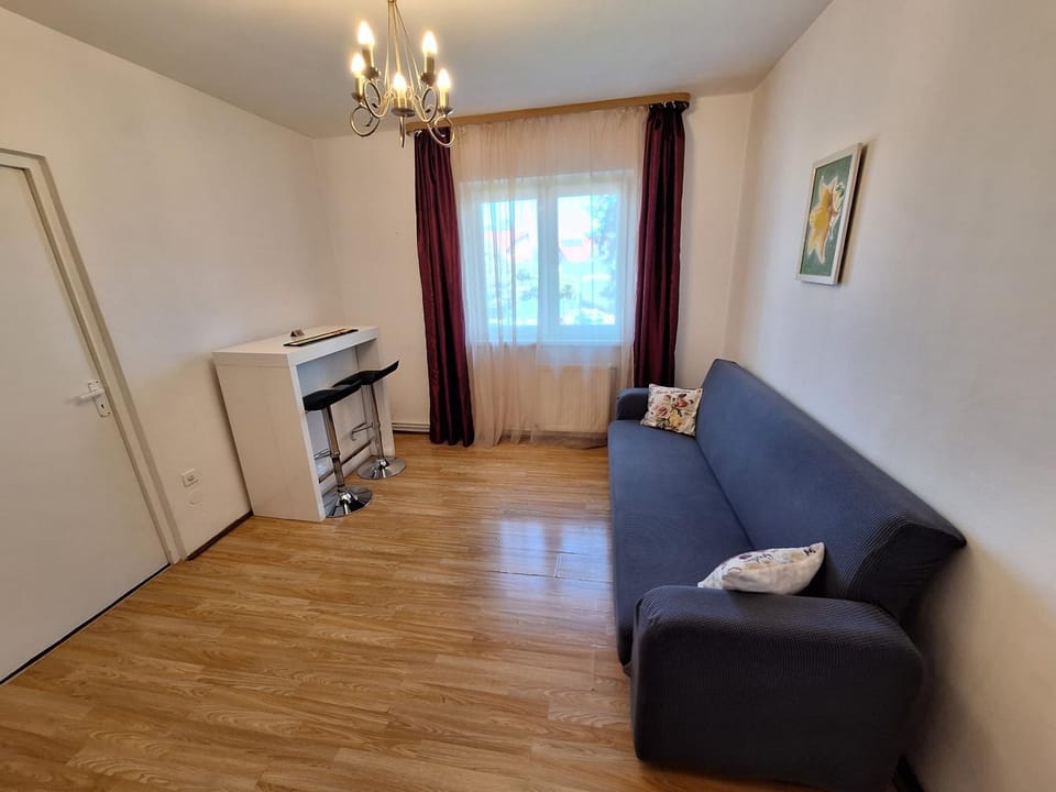 Aldine comfort : entire apartment with 2 bedrooms Apartment in Sibiu