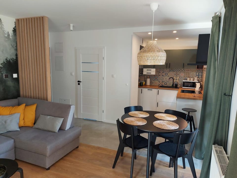 Kitchen or kitchenette, Living room, Seating area, Dining area, stove