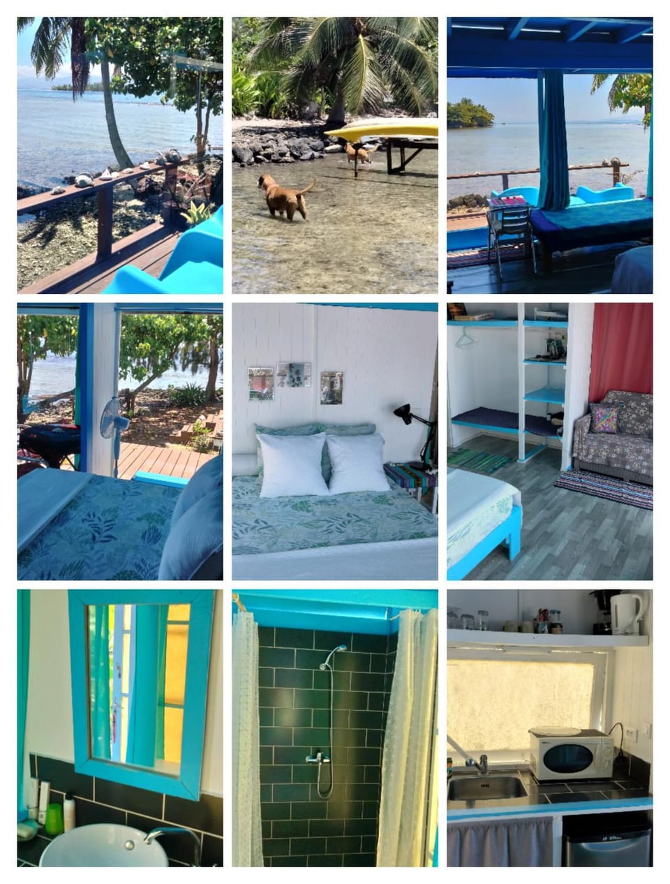 bungalow vue lagon 180 degré, la maison bleue Bed and Breakfast in Moorea-Maiao