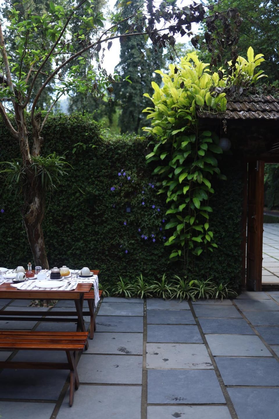 Dining area