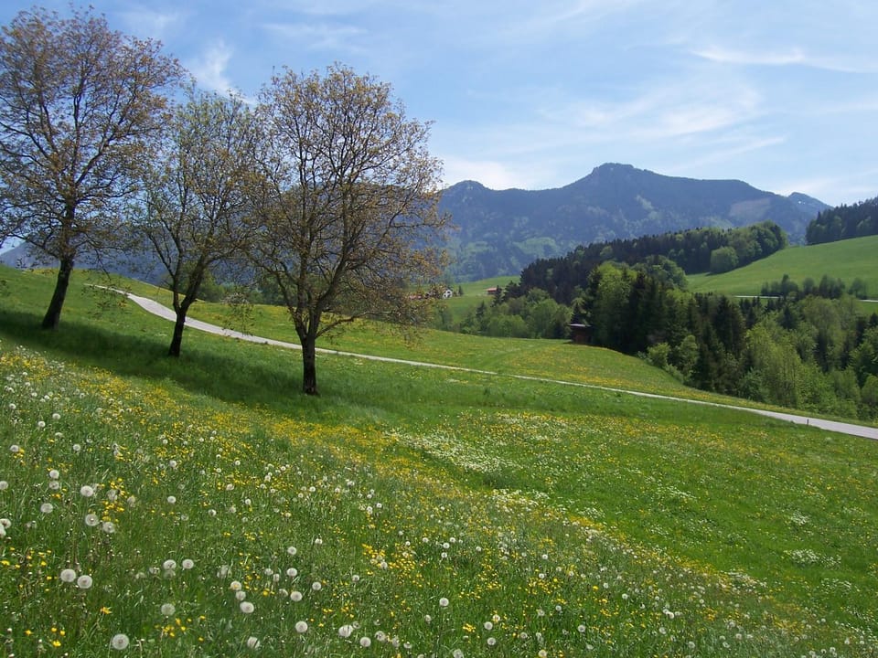 Weberhof Apartment in Bavaria