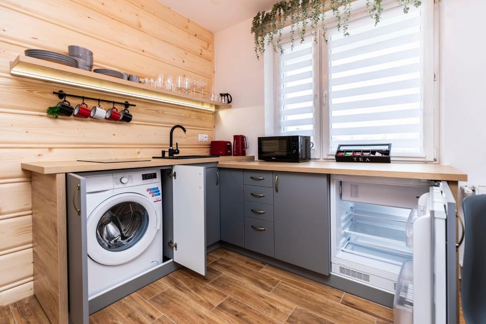 Apartament Hanki przy Krupówkach Apartment in Zakopane
