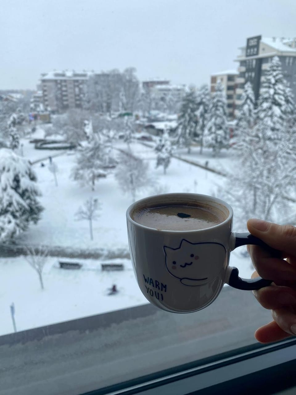 Winter, View (from property/room), View (from property/room)
