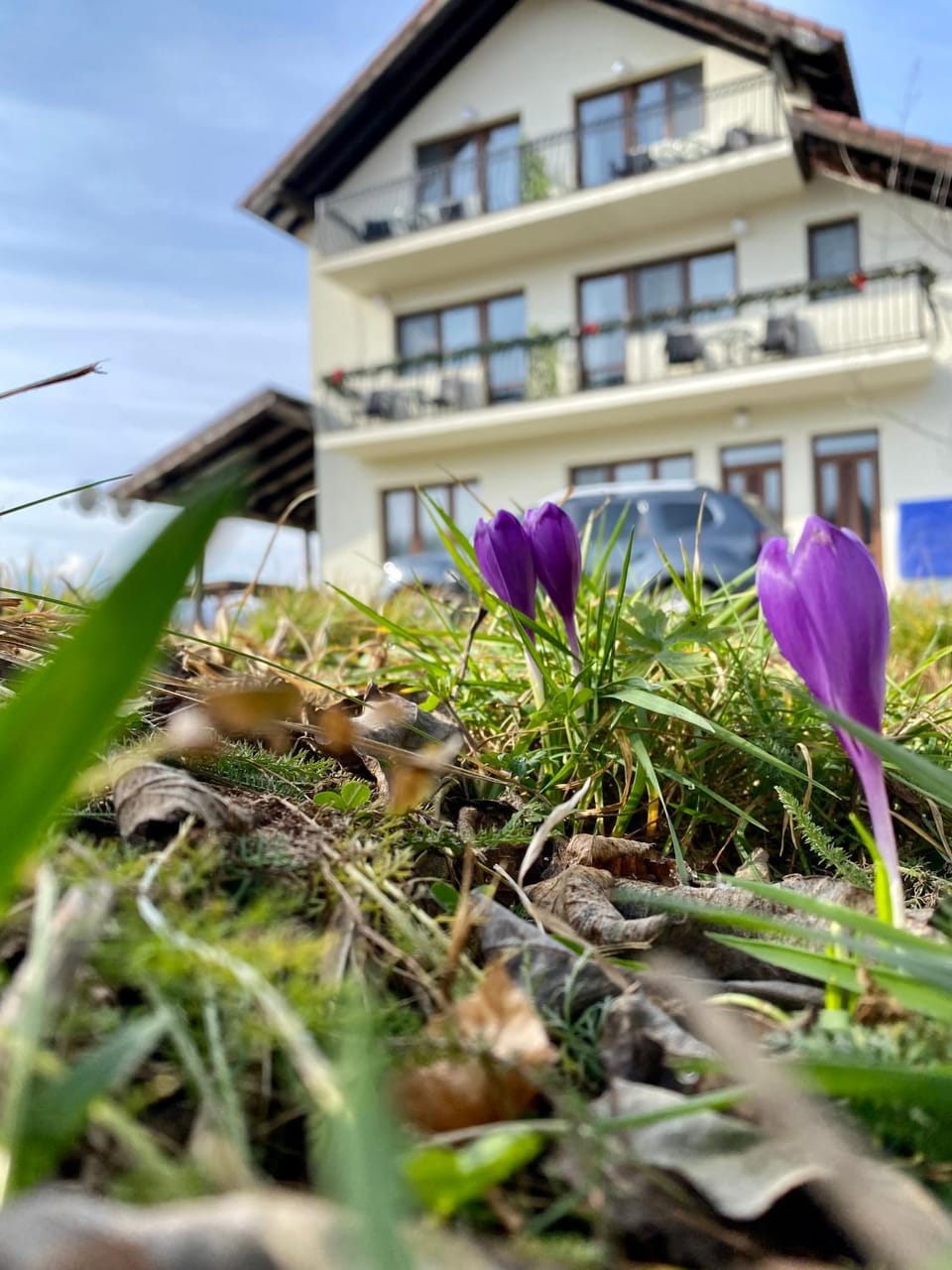 Property building, Spring, Garden