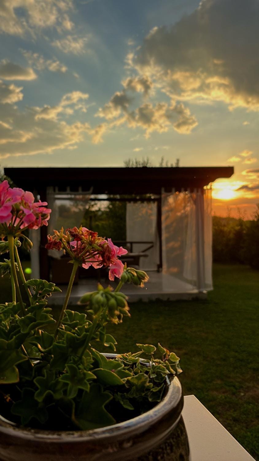 Patio, Garden, Sunset