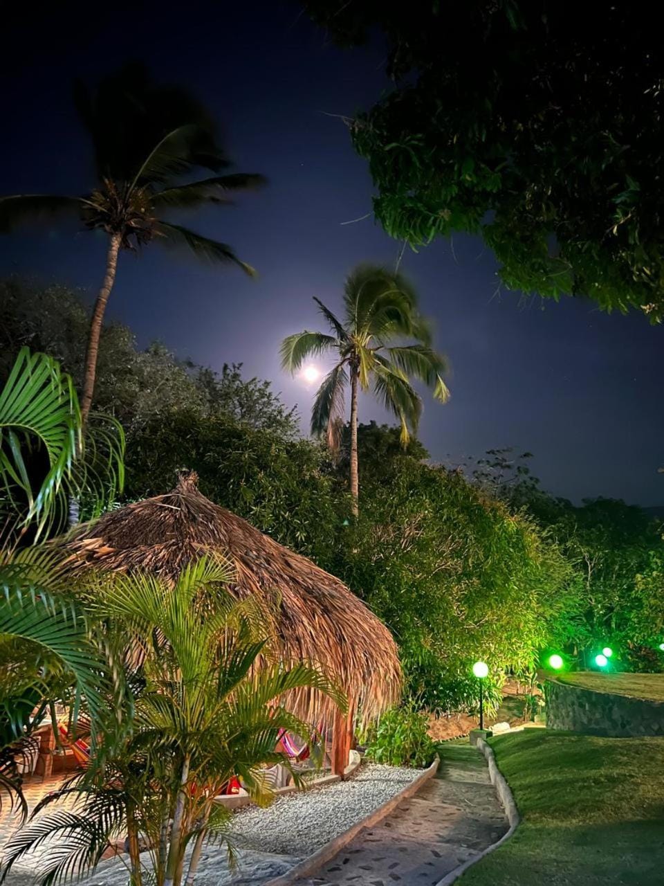 Night, Natural landscape, Garden