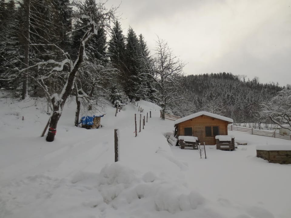 Landhaus Ziegelstadel Apartment in Upper Austria