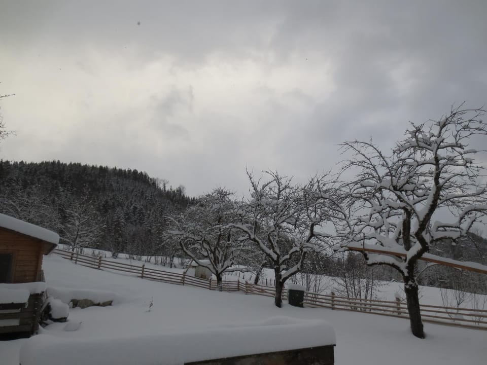 Landhaus Ziegelstadel Apartment in Upper Austria