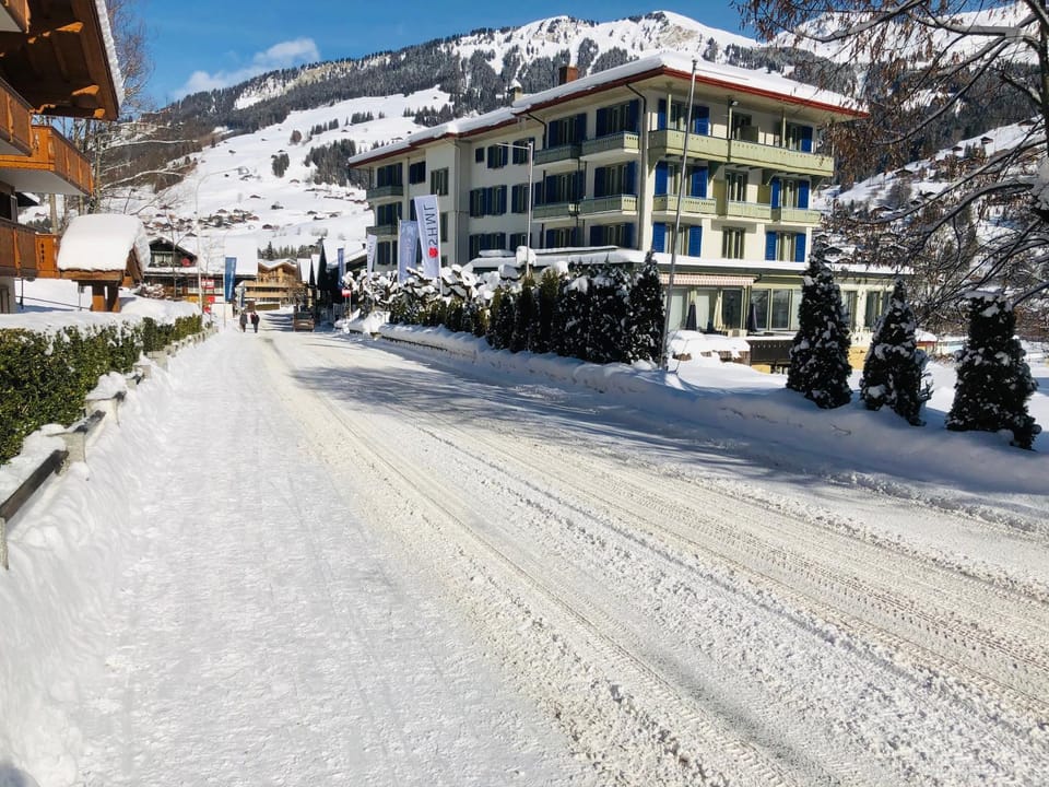Parkhotel Bellevue Budget Hotel in Canton of Valais