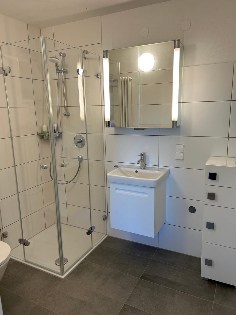 Bathroom, Living room