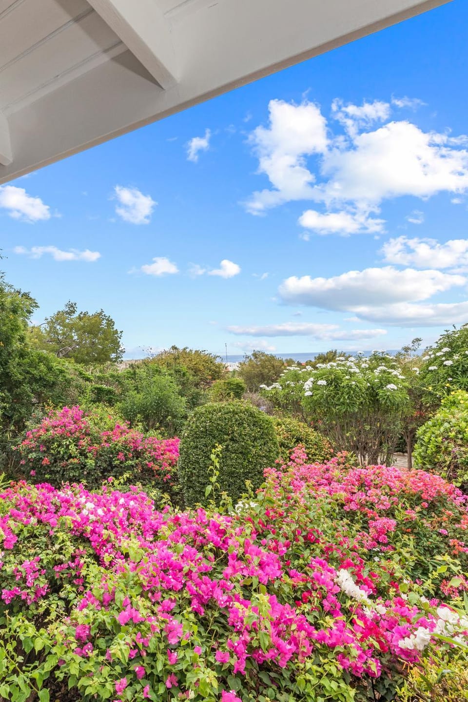 Garden, Sea view