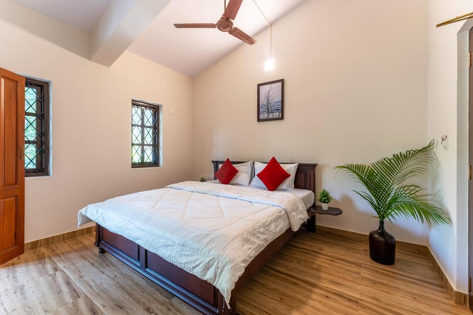 Bed, Photo of the whole room, Bedroom