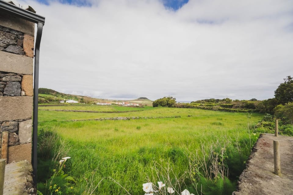 Natural landscape