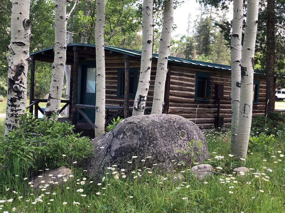 Property building, Summer