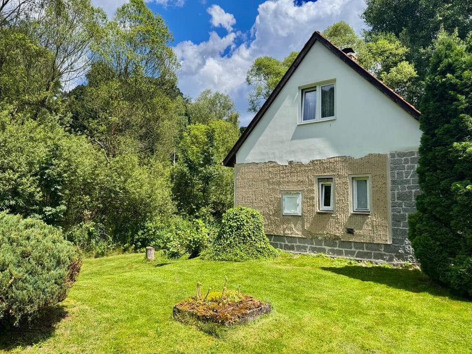 Natural landscape, Garden, Garden view