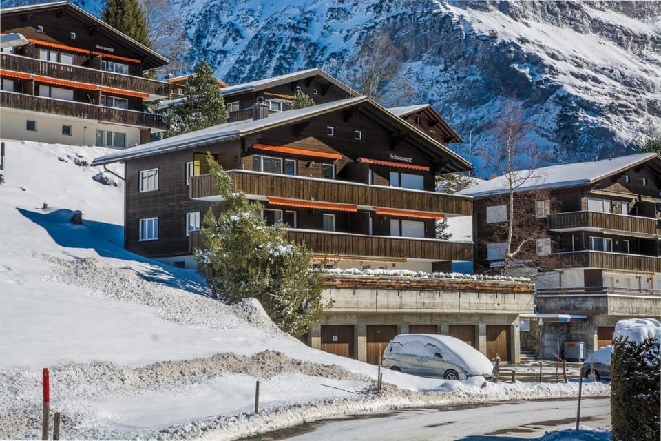 Property building, Natural landscape, Winter