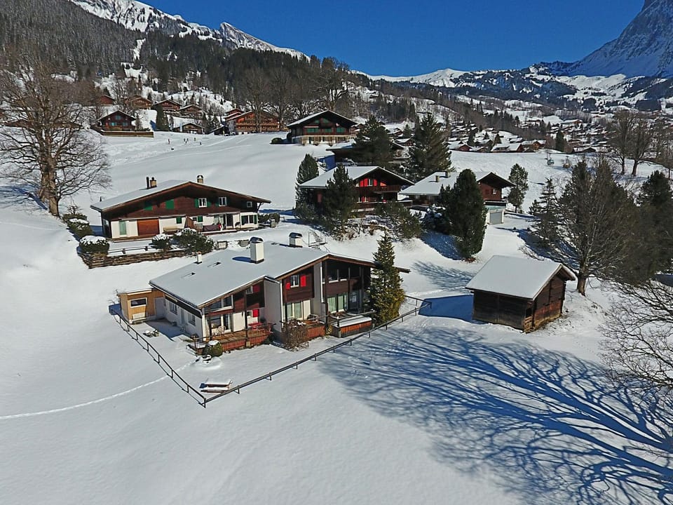 Bird's eye view, Winter