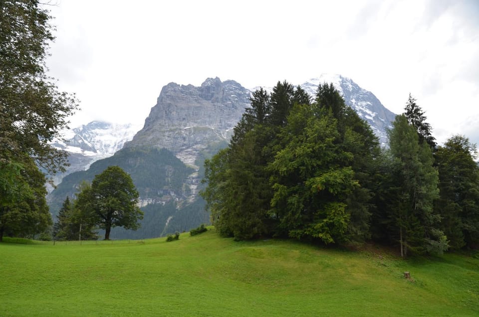 Spring, Natural landscape, Mountain view