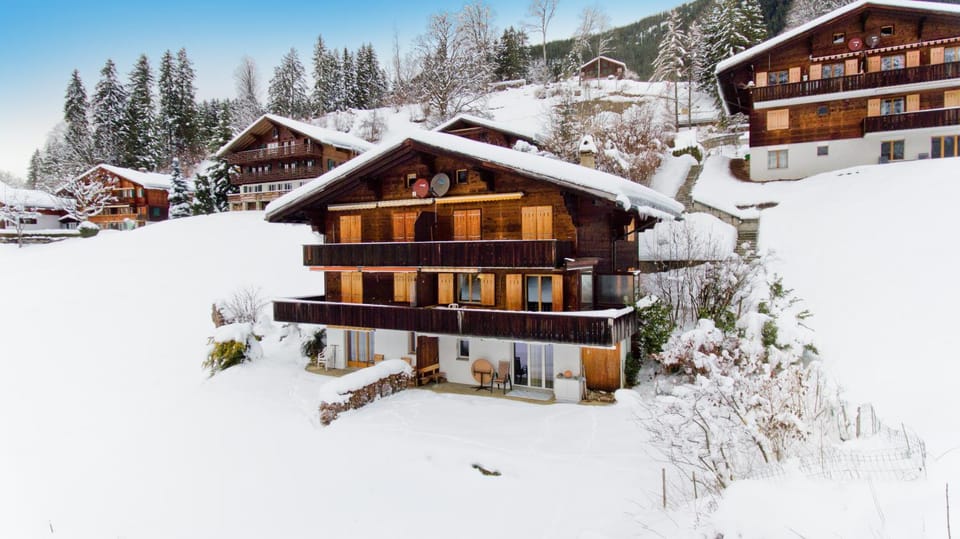 Bird's eye view, Winter