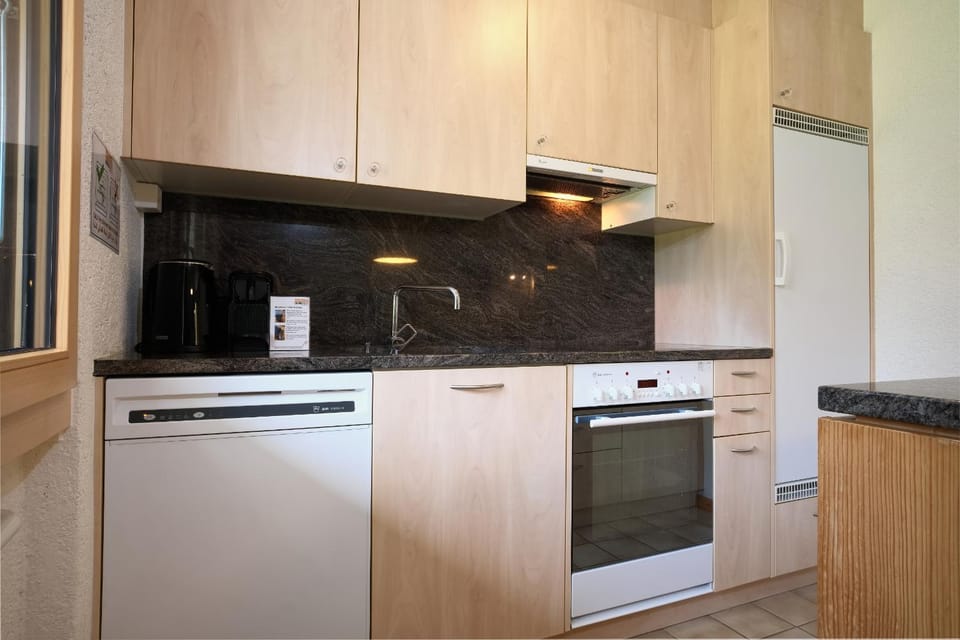 Kitchen or kitchenette, dishwasher, oven