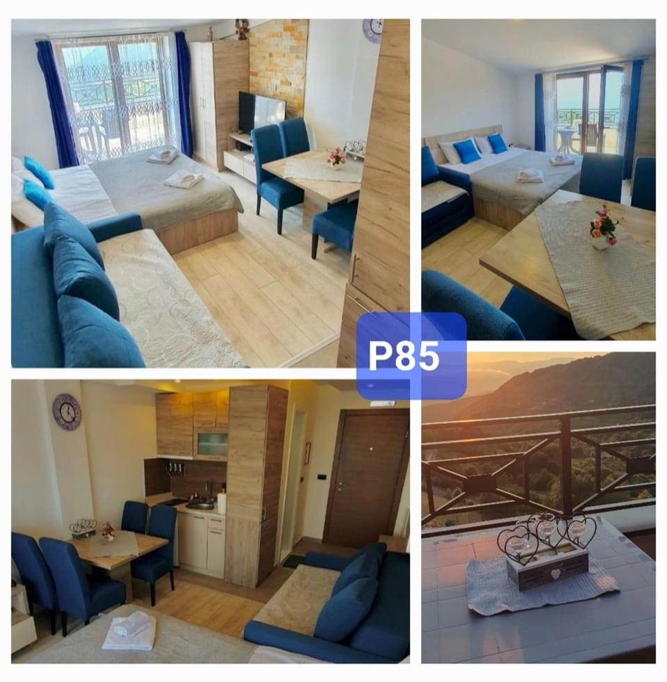 MIPS Milmari Resort Kopaonik Apartment in Serbia