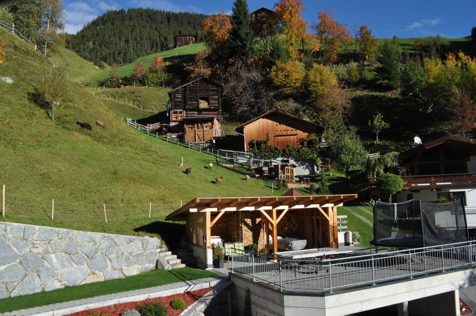 Table tennis, Balcony/Terrace, Animals, Autumn