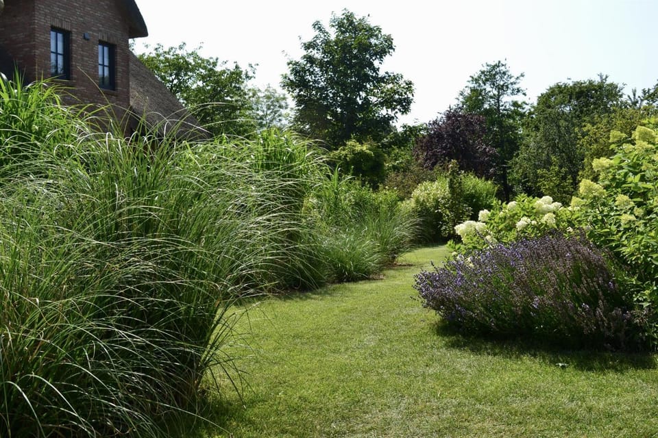 Reetdachhaus Nordstern House in Nordfriesland