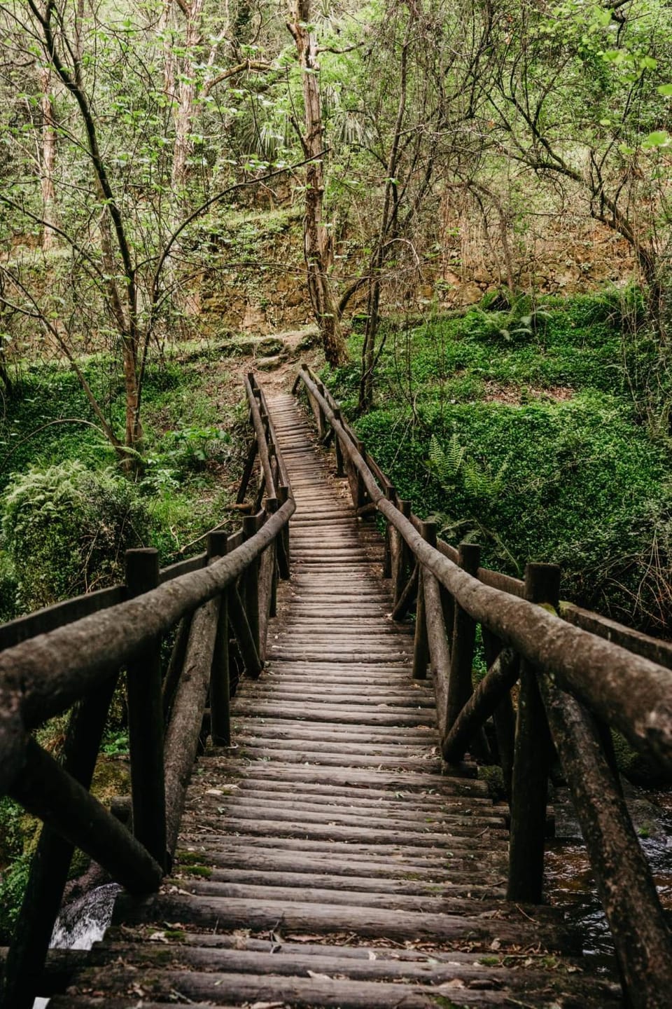 Nearby landmark, Natural landscape, Hiking, Mountain view, River view