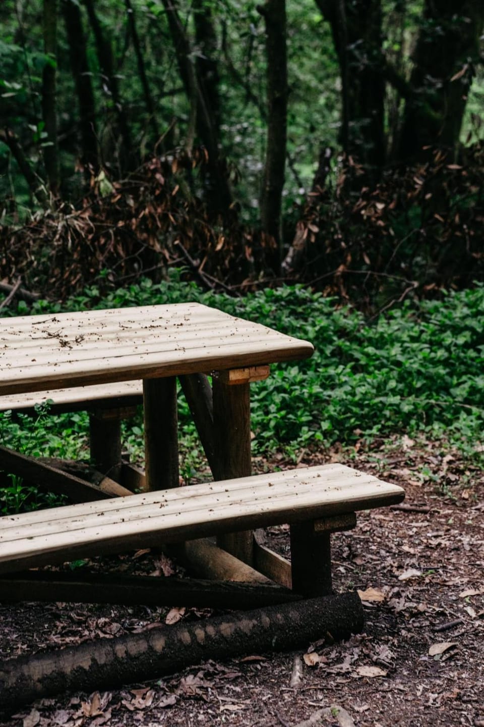 Nearby landmark, Dining area, Mountain view
