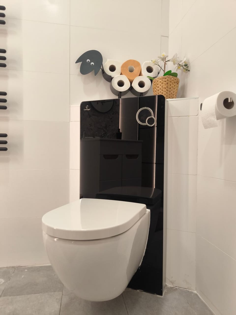 Toilet, Bathroom