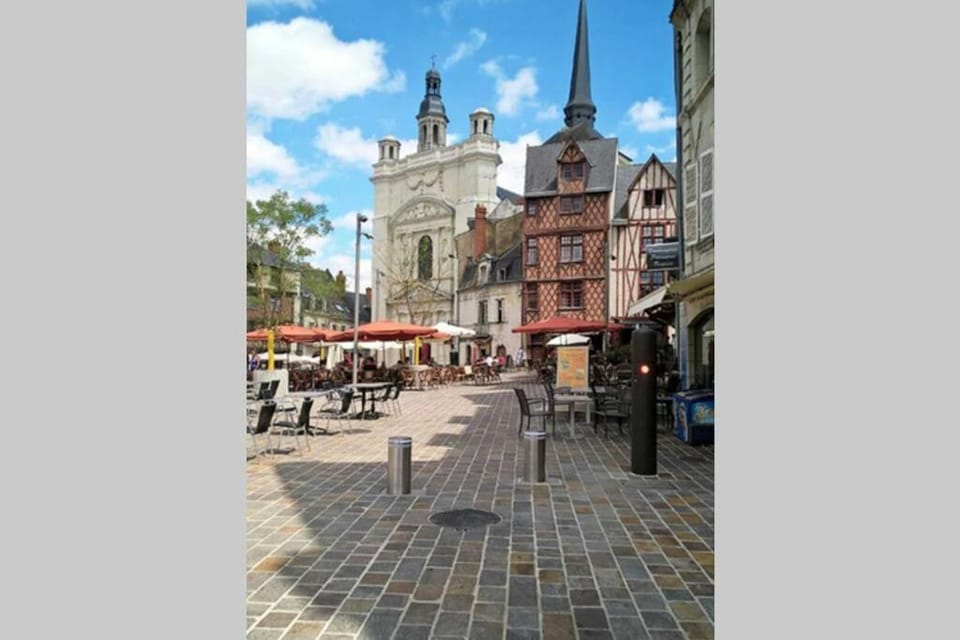 Bel appartement 50m2 en plein centre de Saumur Apartment in Saumur