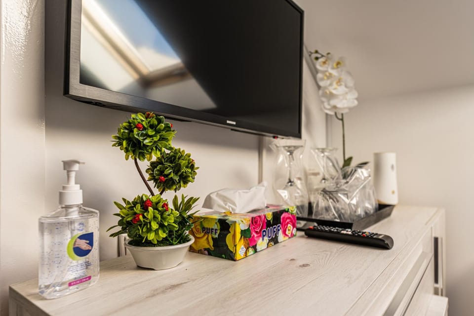 TV and multimedia, Other