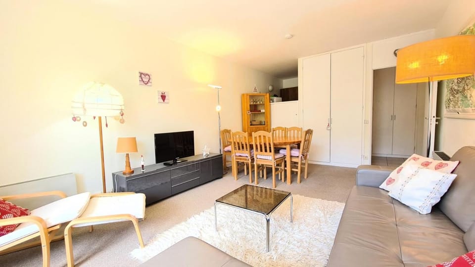 Résidence Belier - Appartement confortable et lumineux · Au pied des pistes · WIFI gratuit et illimité MAE-7384 Apartment in Arâches-la-Frasse