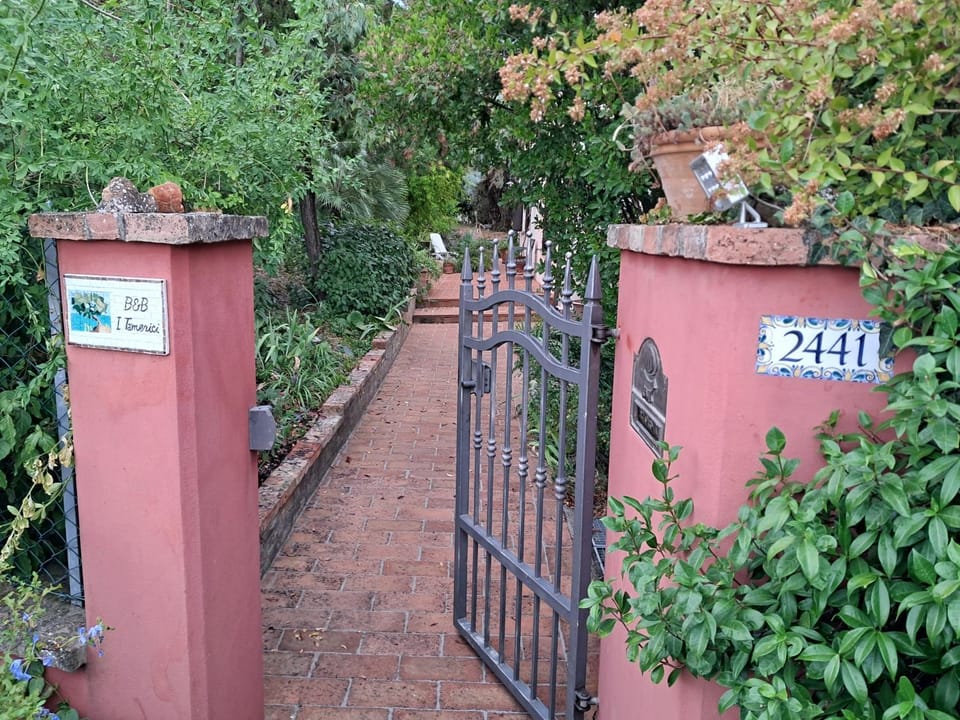 Day, Garden view