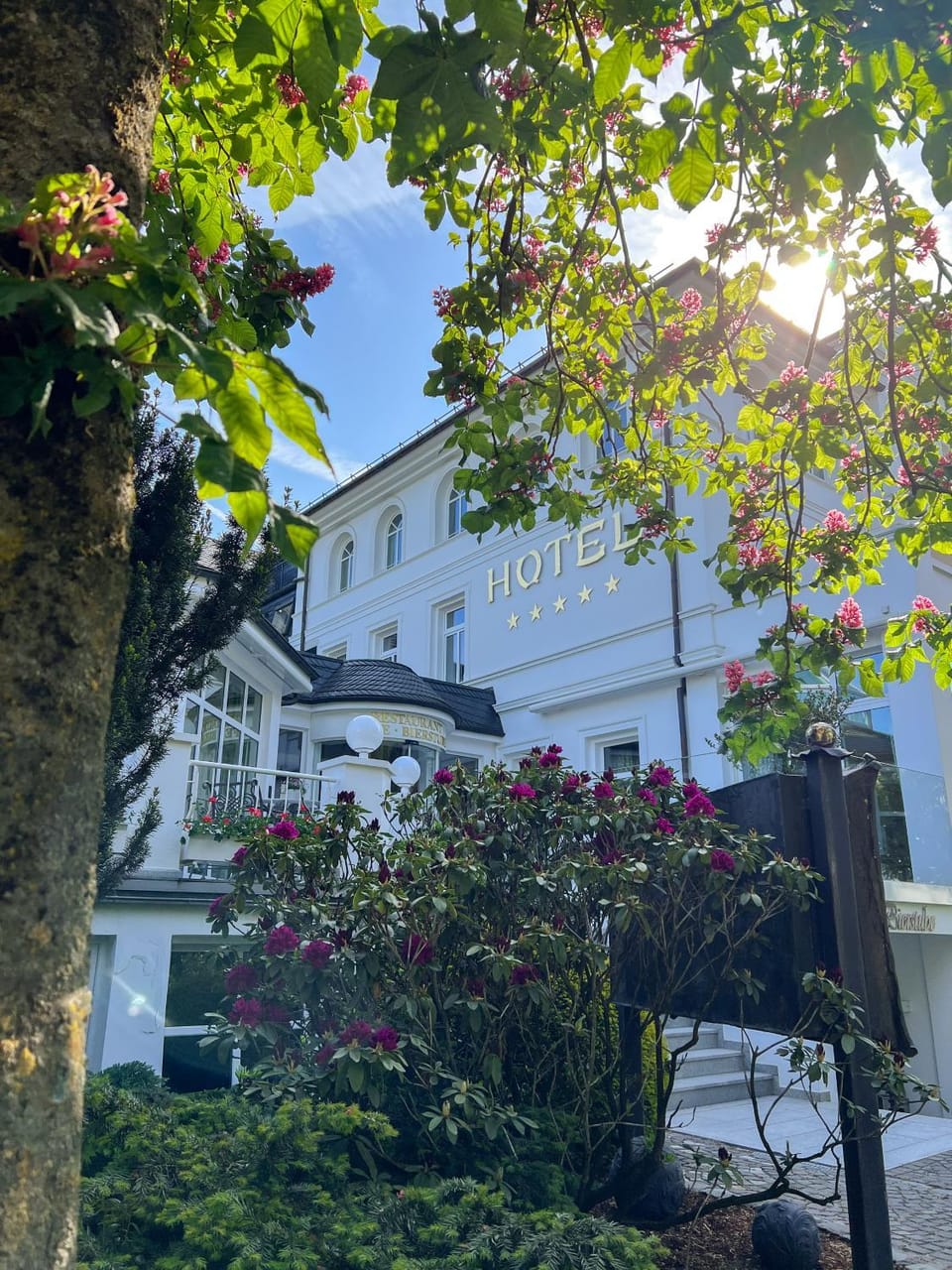 Property building, Spring