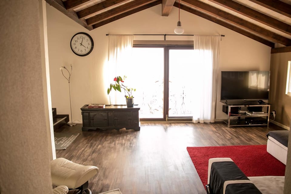 CASA LUNA - WONDERFUL LAKE VIEW Apartment in Locarno