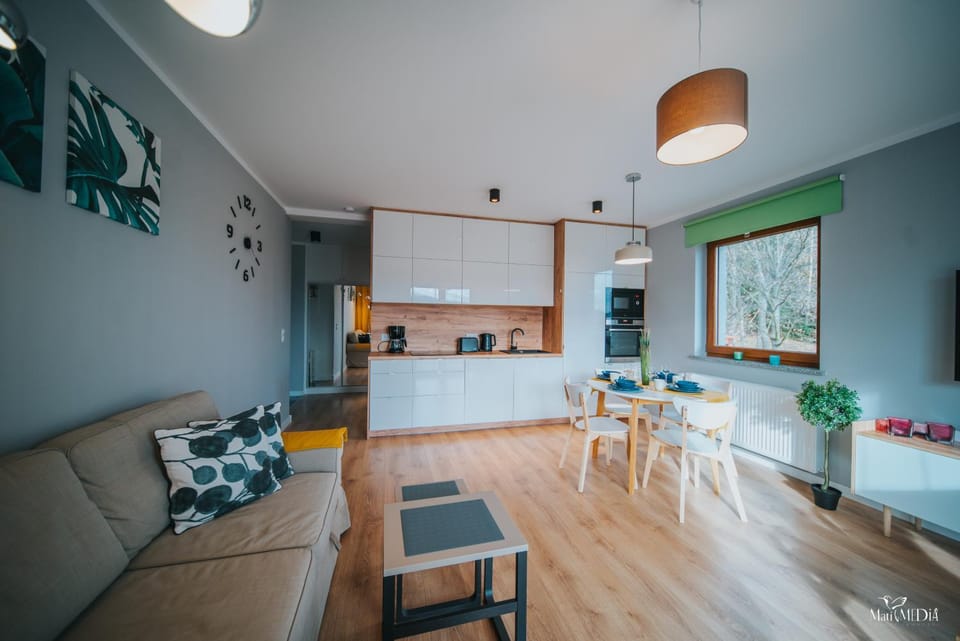 Apartament Viki & Ski Apartment in Lower Silesian Voivodeship