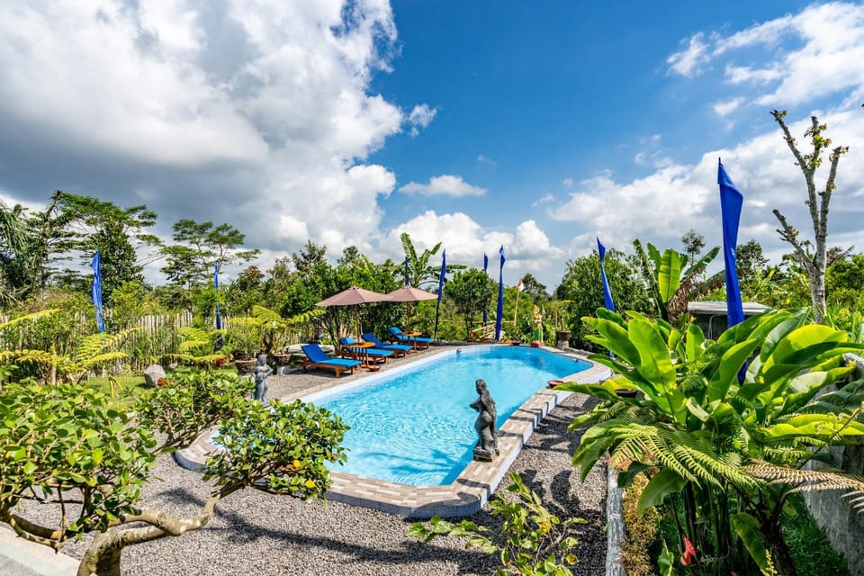 Pool view, Swimming pool