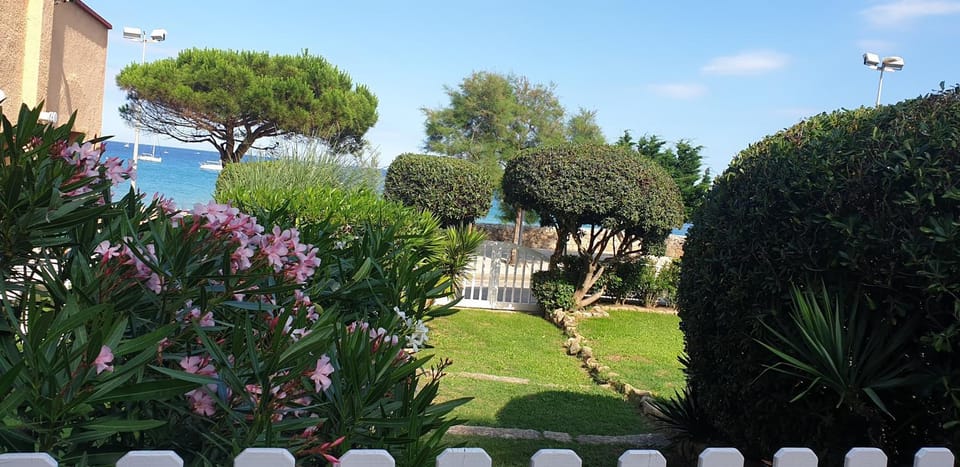 Garden, Garden view