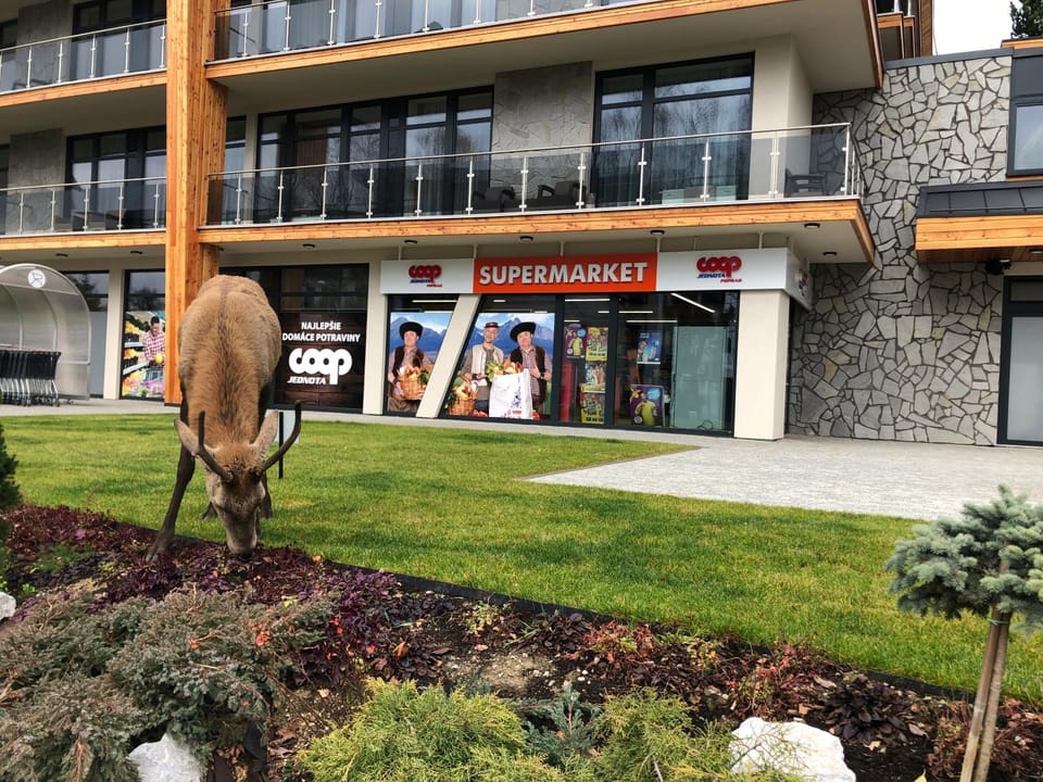 Property building, Facade/entrance, Food close-up, Supermarket/grocery shop