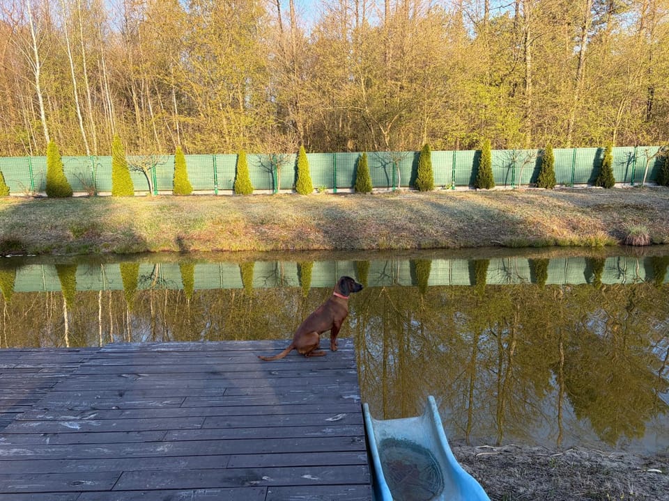 Lake view
