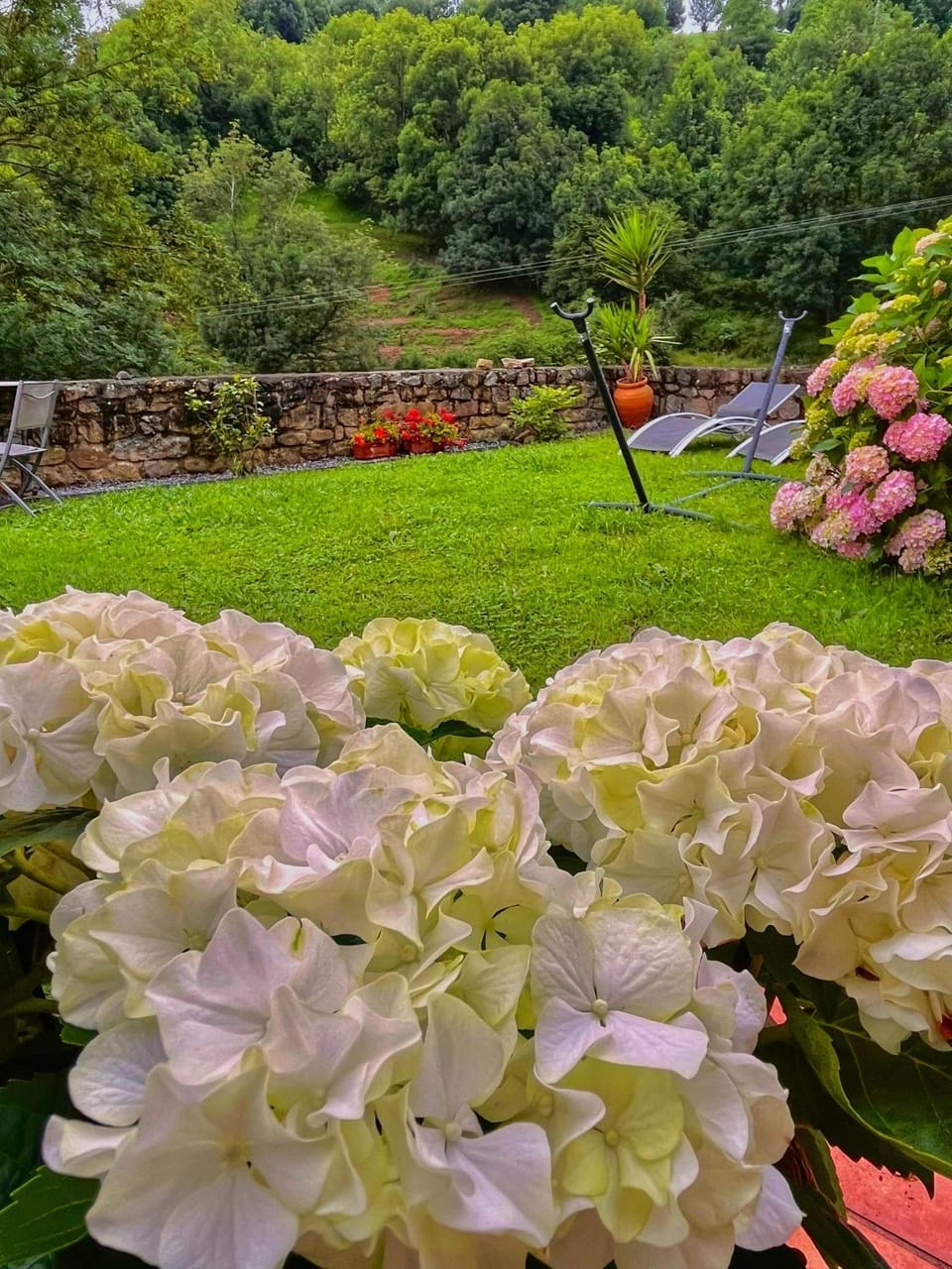 Posada de Villacarriedo Bed and Breakfast in Cantabria