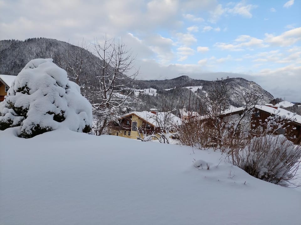 Haus Barbara Apartment in Salzburgerland