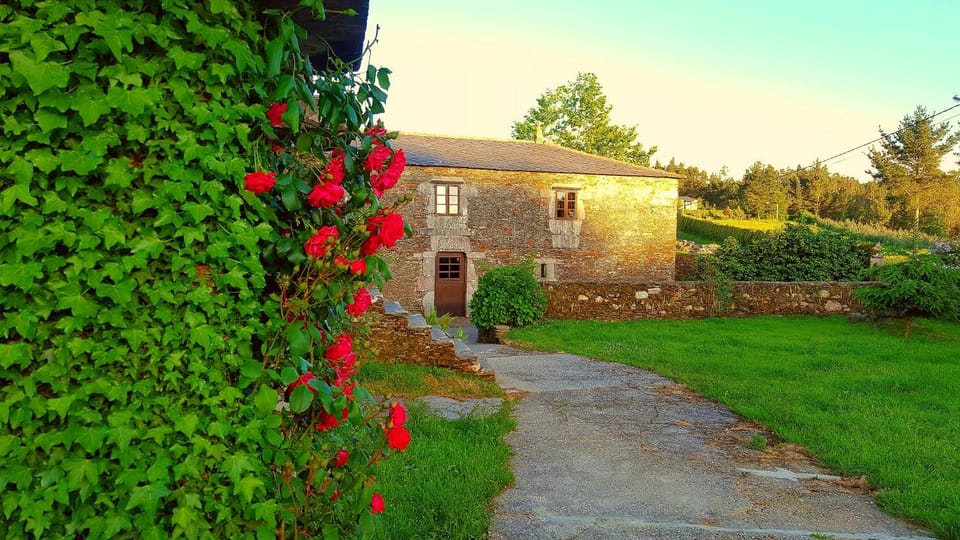 Property building, Garden, Garden view