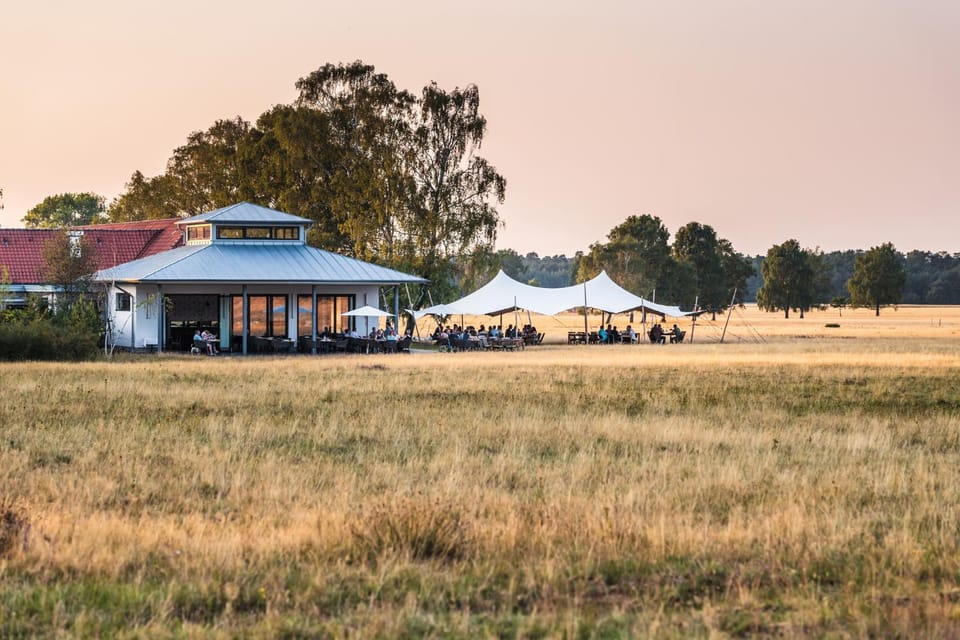 Restaurant/places to eat, Summer, Garden, On site, Garden view, Sunset