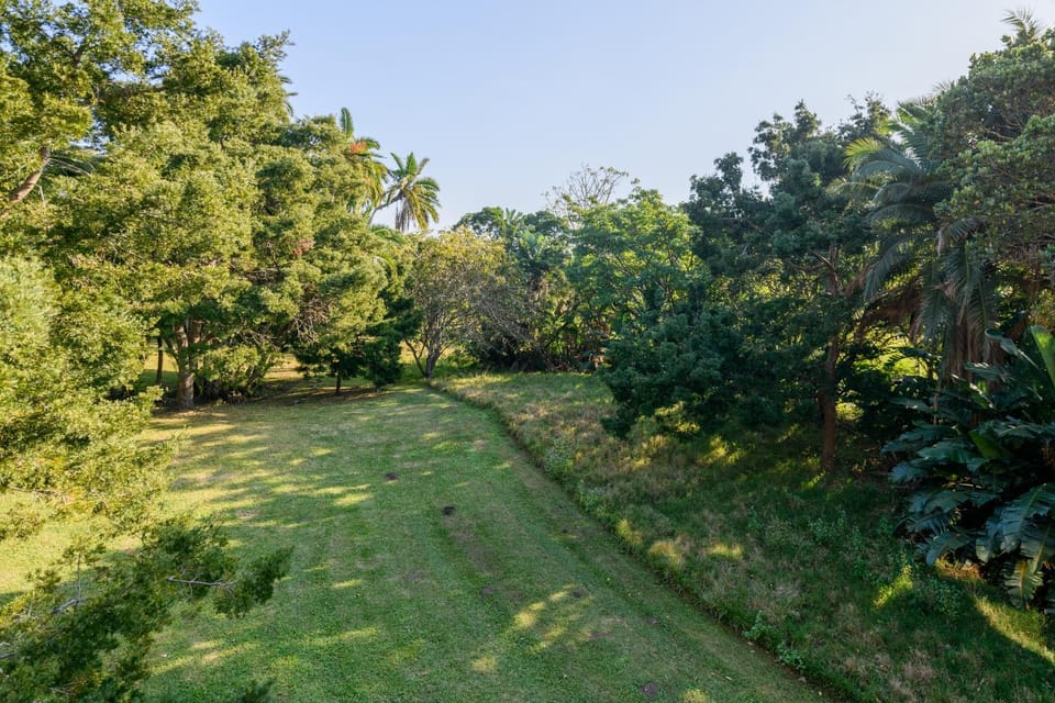 Natural landscape, Garden, Garden view